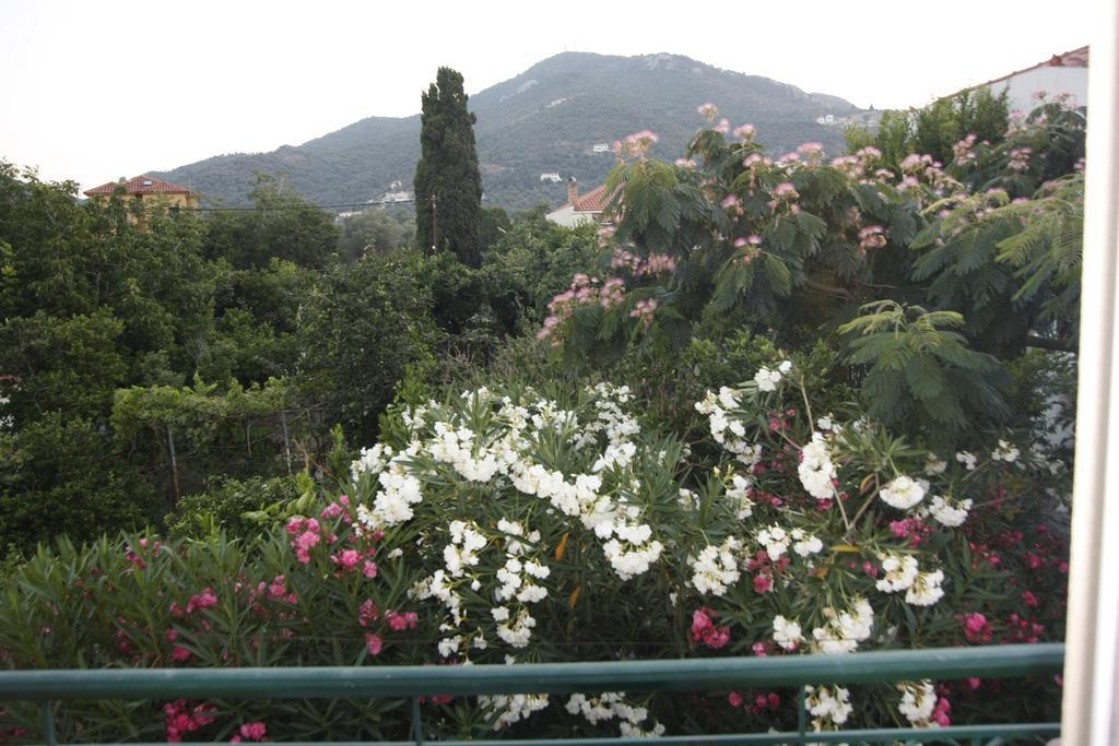 Sappho Studios Mytilene Quarto foto